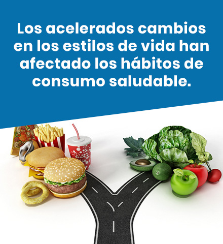 comida chatarra vs comida saludable